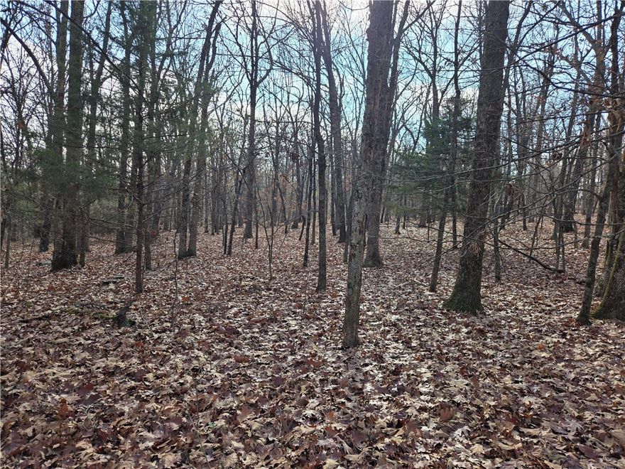 Incredible opportunity to build your dream home on this 1-acre lot, that is mostly level & wooded, with plenty of good building spots.   This magnificent lot offers you lots of privacy, peace & quiet, with no covenants or deed restrictions.  Property is easy to get to, only 1/8 mile off a main paved road, only a short 10-minute drive from downtown Prairie Grove, Public water & electricity on Bule Mountain Road. Property shown by appointment ONLY & buyer to verify utilities, deed restrictions & existing easement.