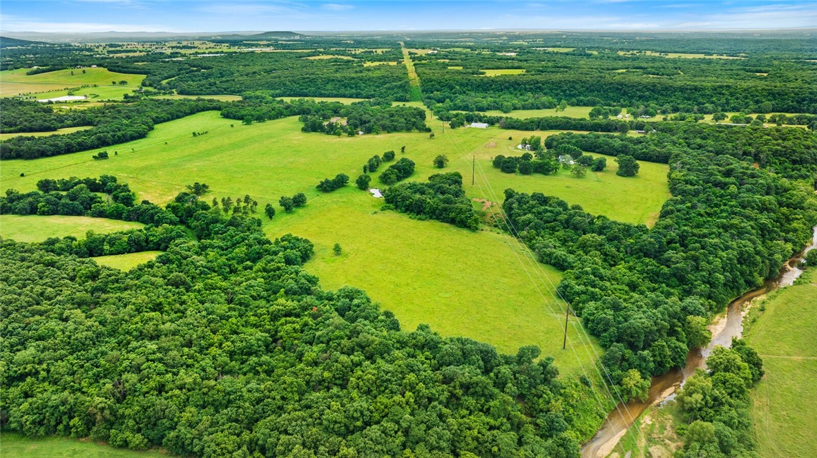 cows, country, dreams, living - Land