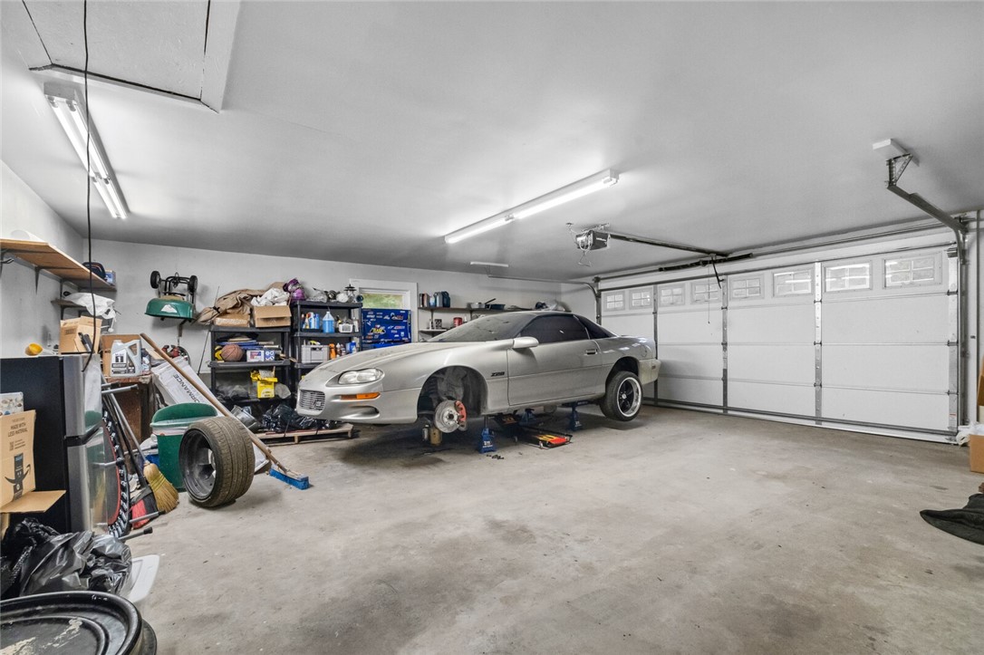 cows, country, dreams, living - Land