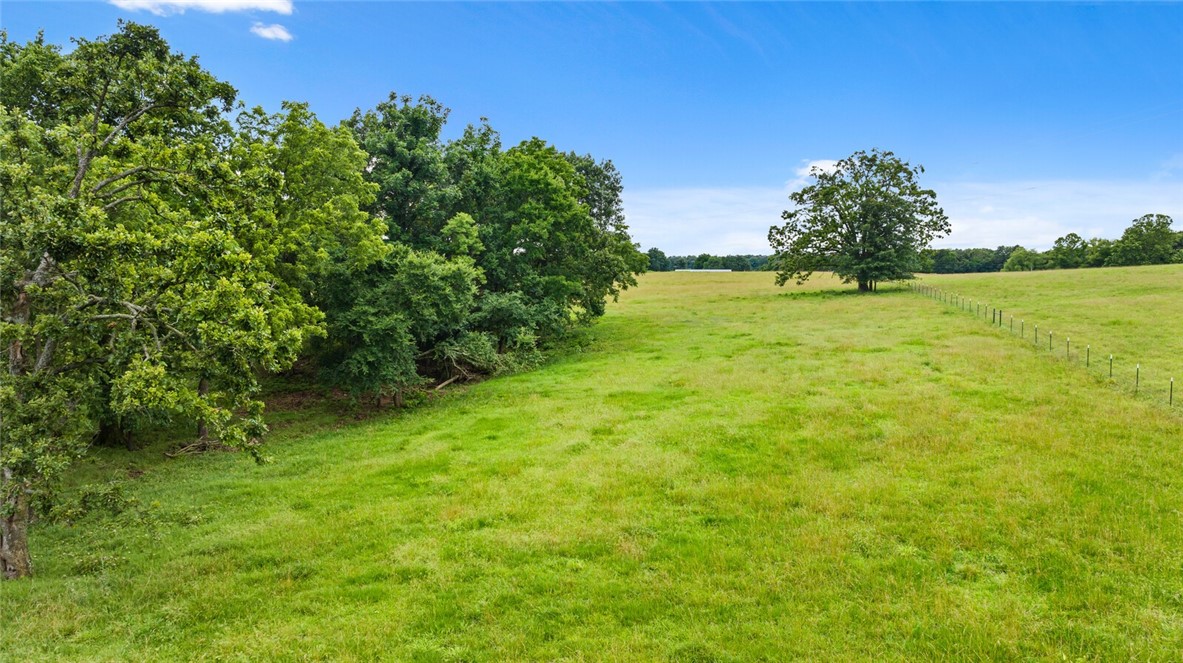 cows, country, dreams, living - Land