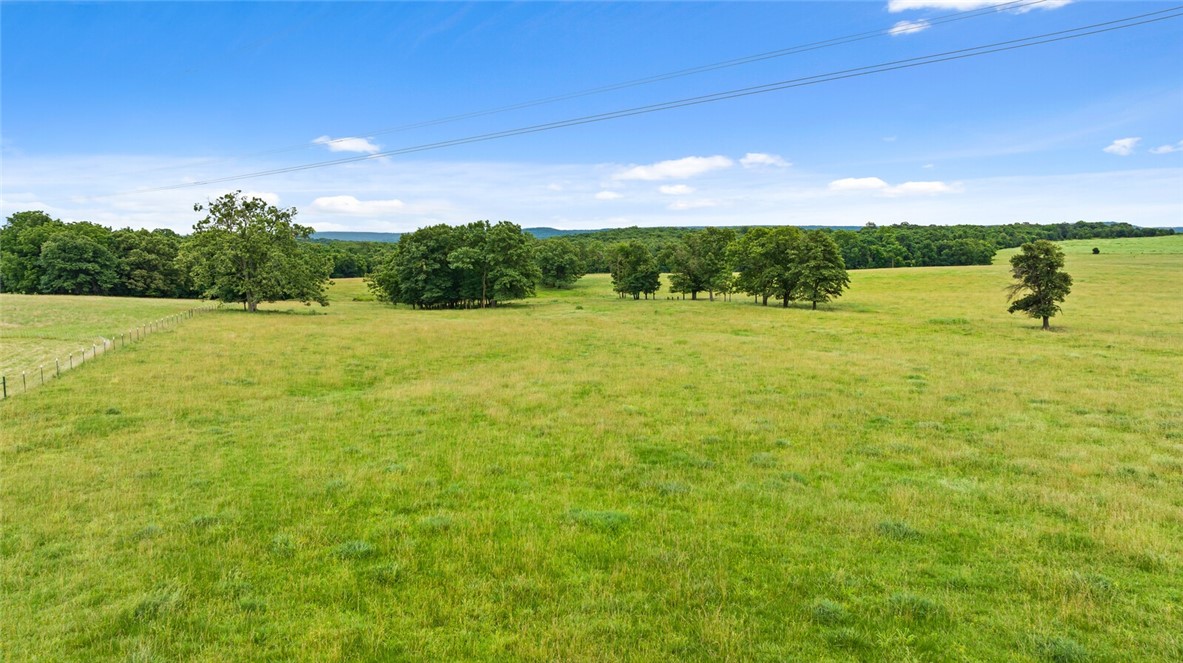 cows, country, dreams, living - Land
