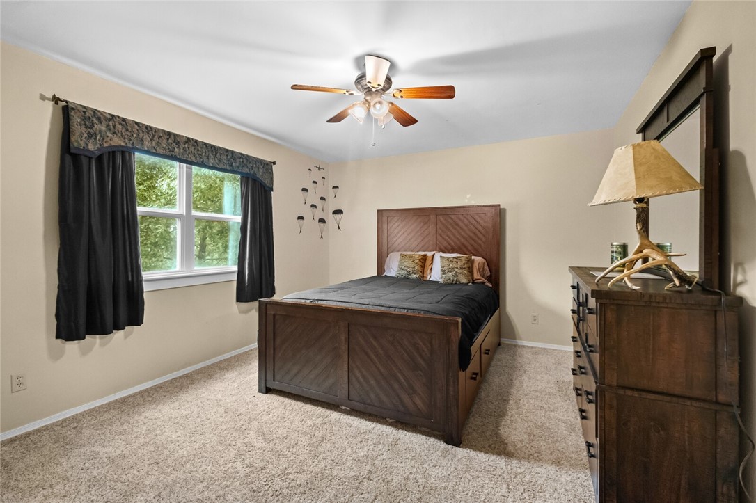 cows, country, dreams, living - Land