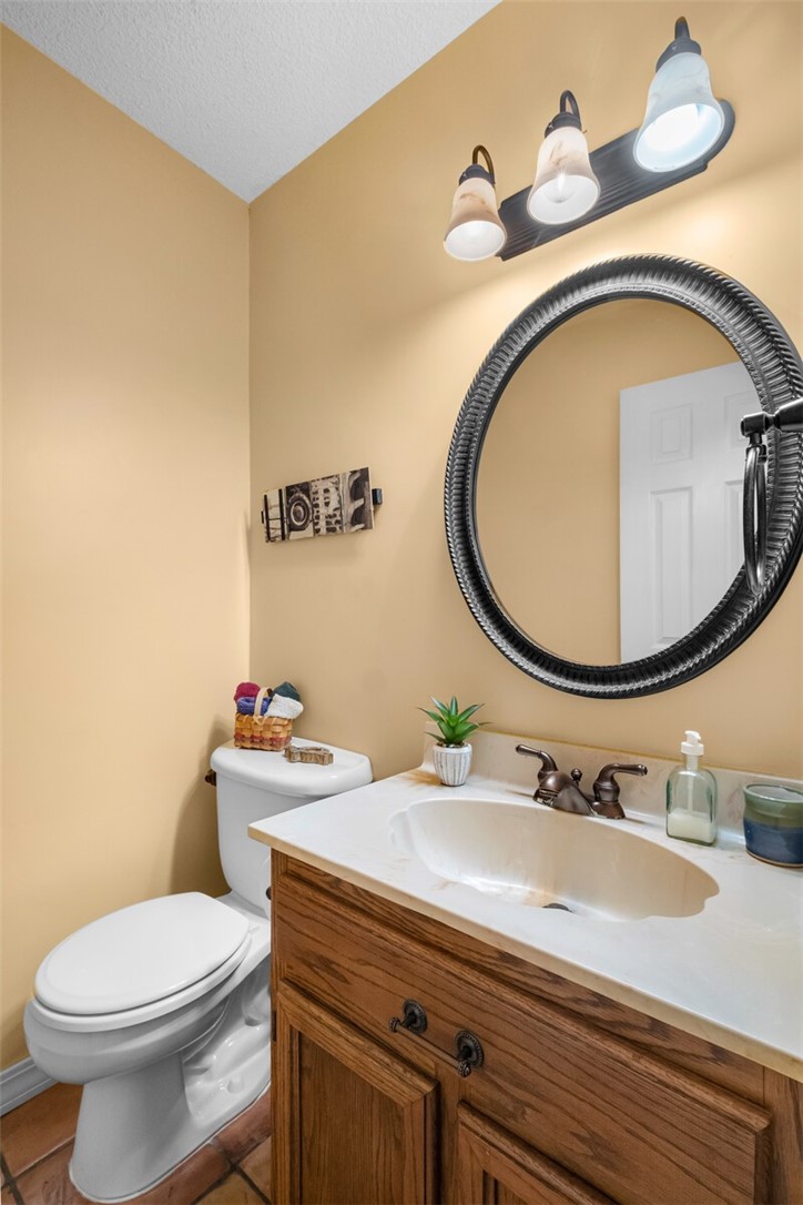 cows, country, dreams, living - Land