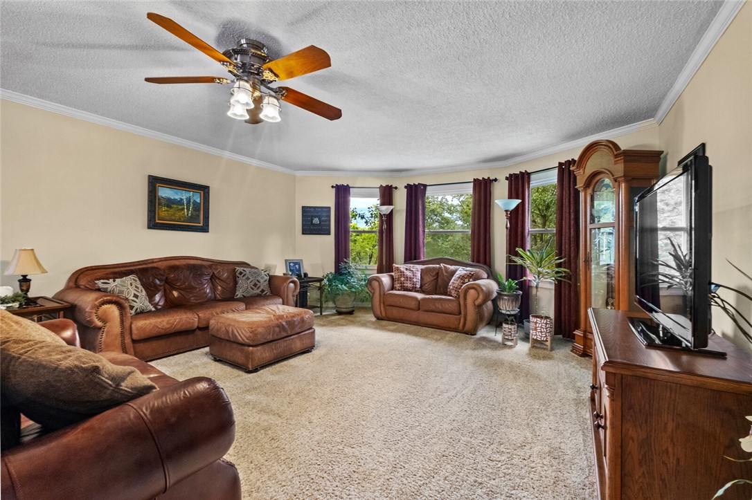 cows, country, dreams, living - Land