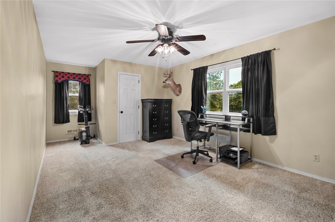 cows, country, dreams, living - Land