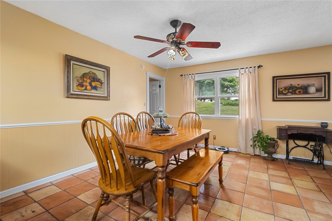 cows, country, dreams, living - Land