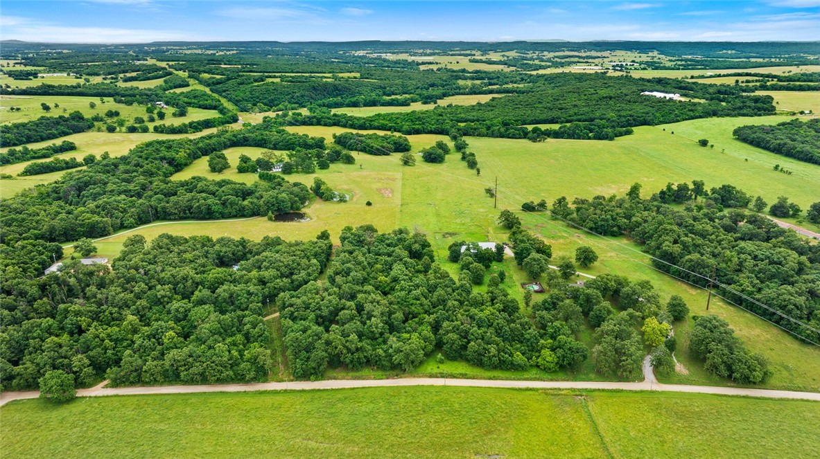 cows, country, dreams, living - Land