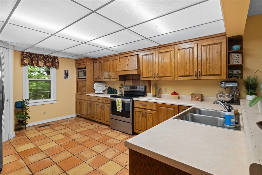 cows, country, dreams, living - Land