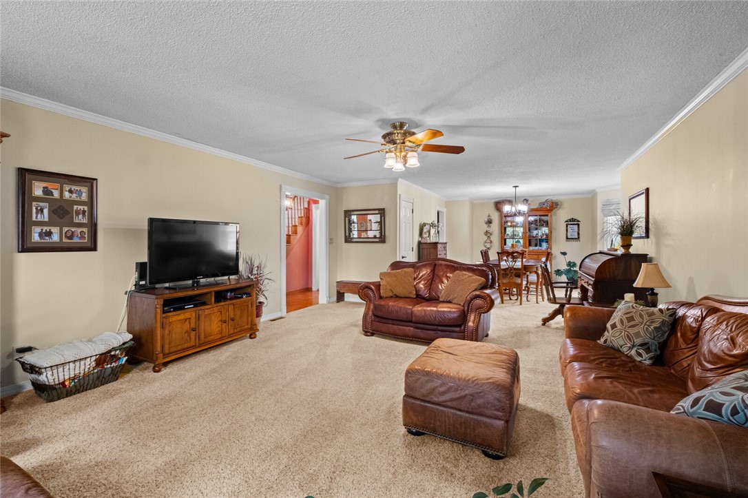 cows, country, dreams, living - Land