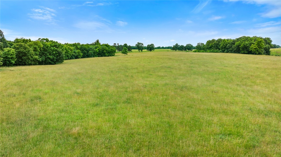 cows, country, dreams, living - Land