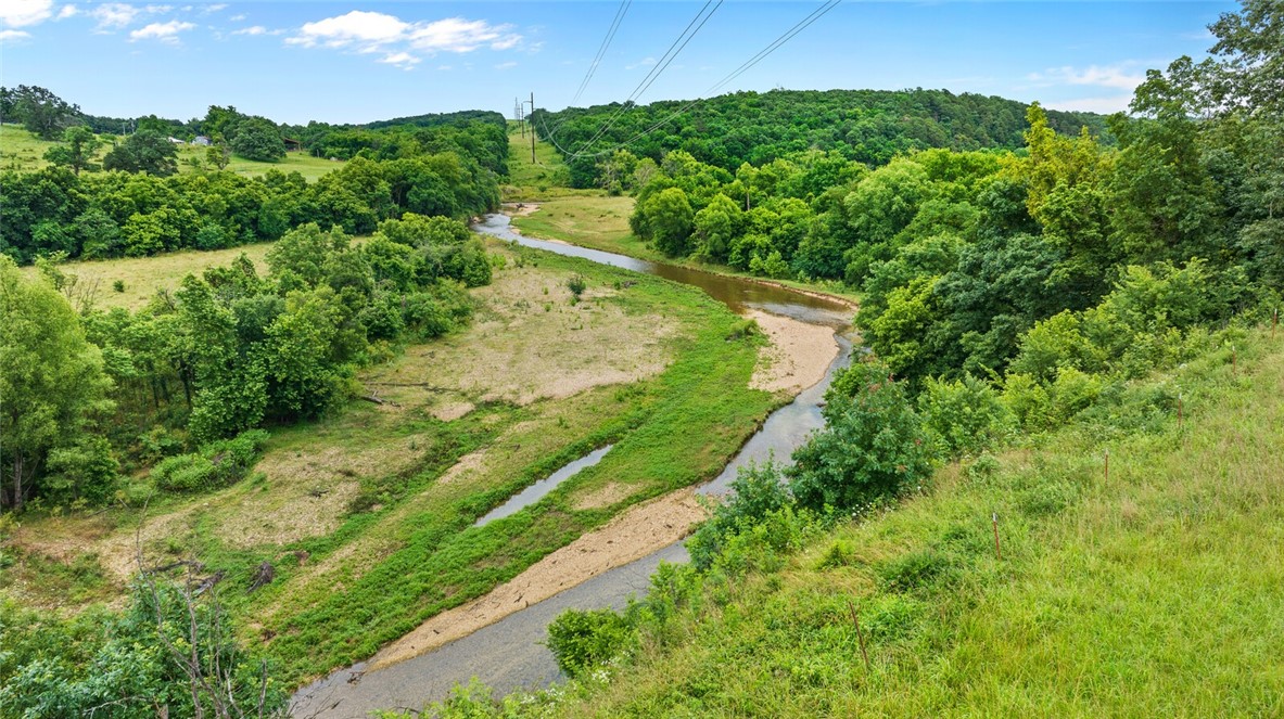 cows, country, dreams, living - Land
