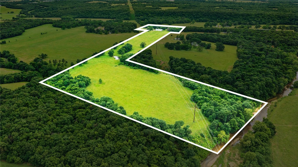 cows, country, dreams, living - Land