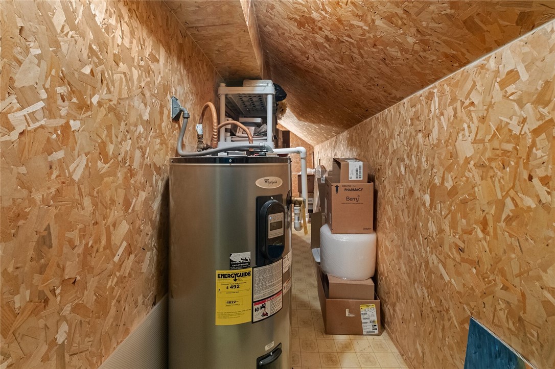 cows, country, dreams, living - Land