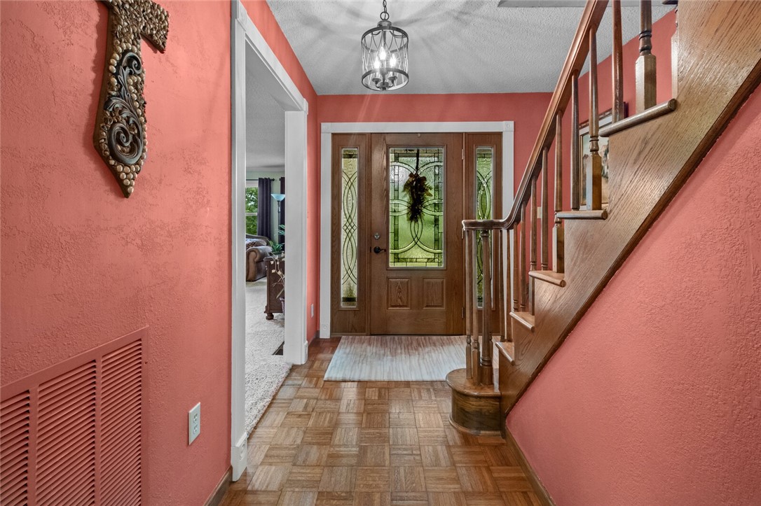 cows, country, dreams, living - Land