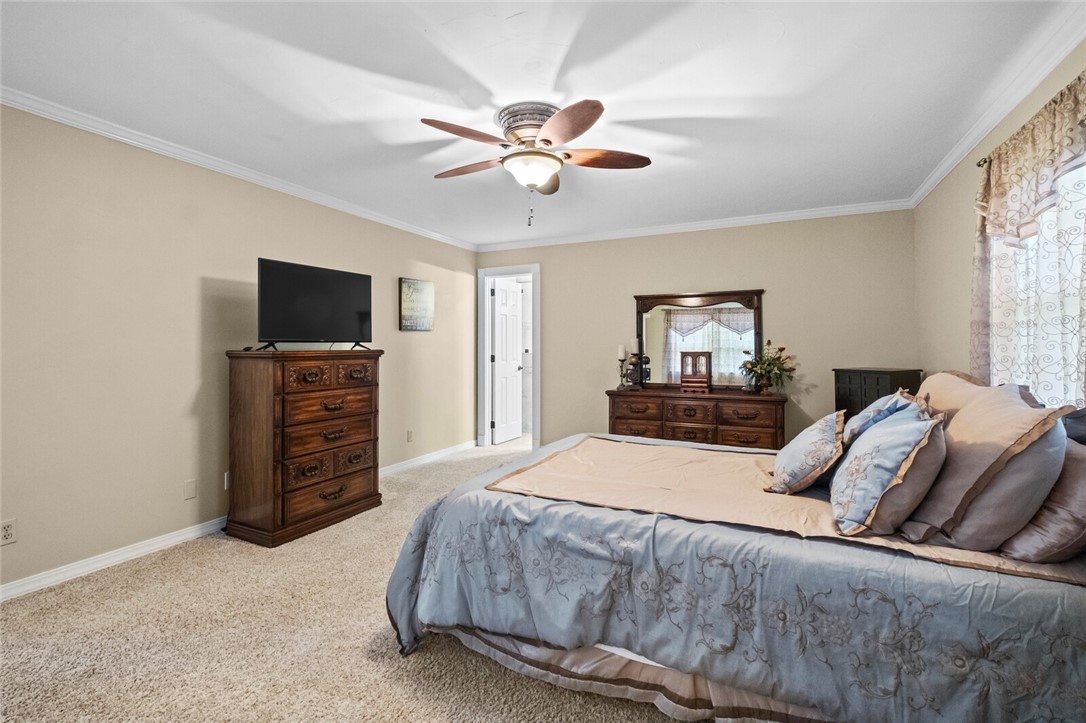 cows, country, dreams, living - Land