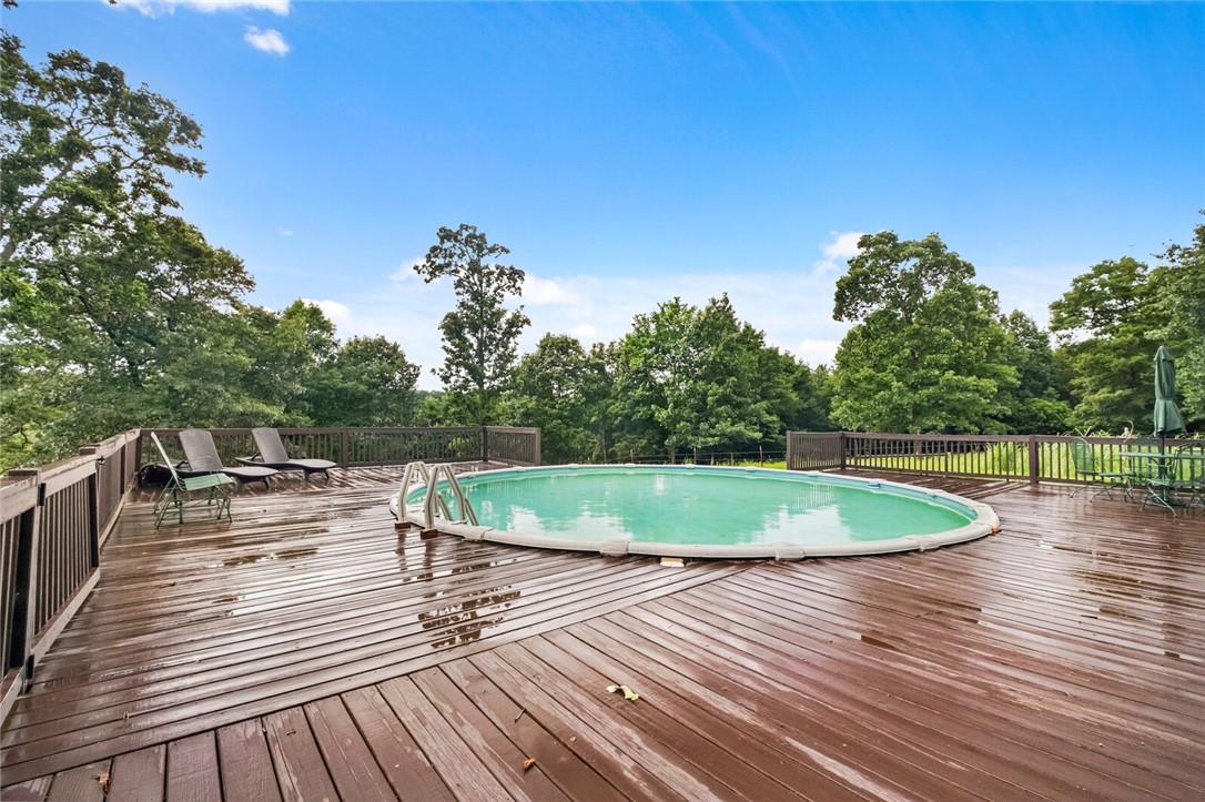 cows, country, dreams, living - Land