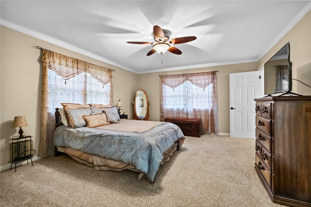 cows, country, dreams, living - Land