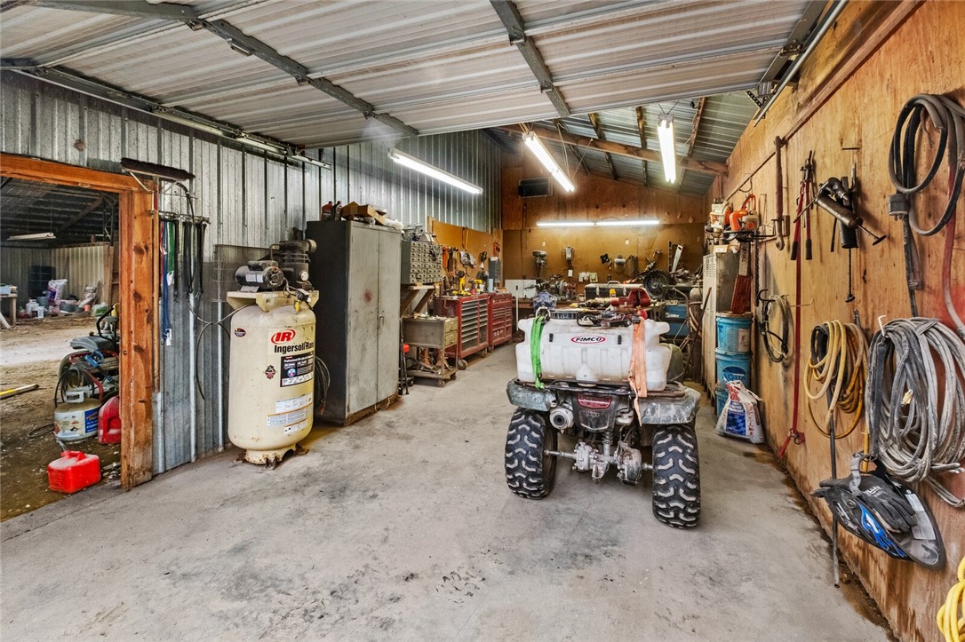 cows, country, dreams, living - Land