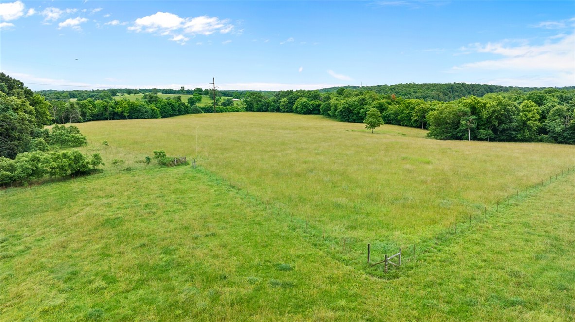 cows, country, dreams, living - Land