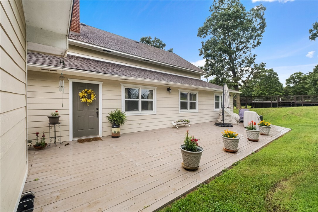 cows, country, dreams, living - Land