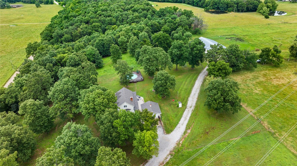 cows, country, dreams, living - Land