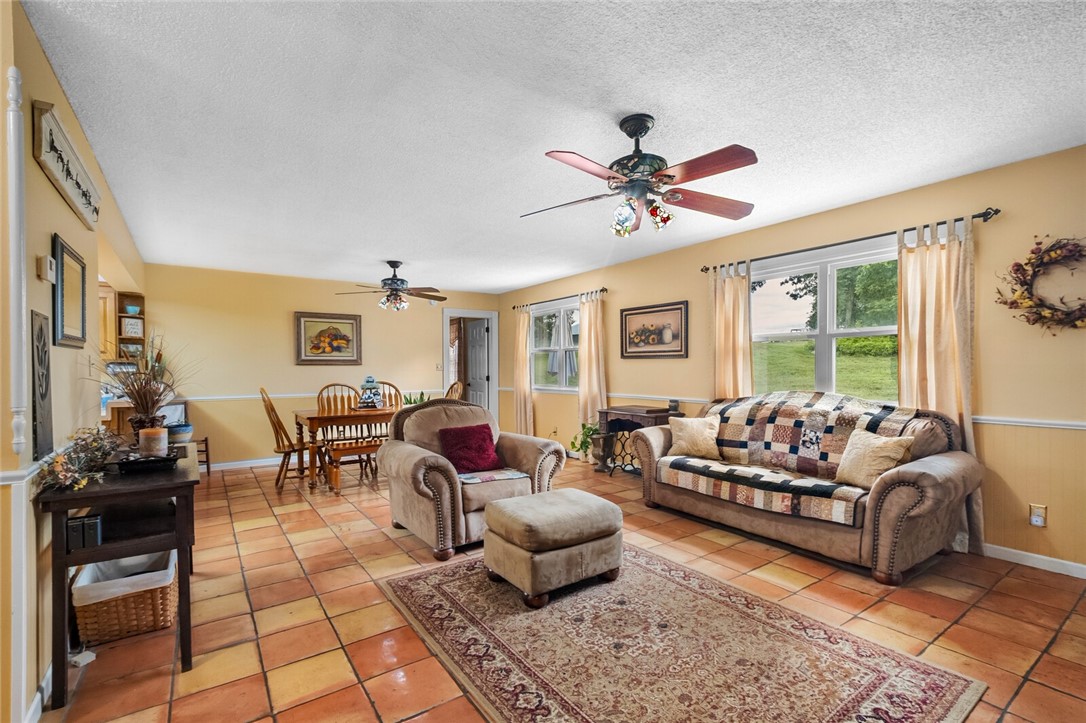 cows, country, dreams, living - Land