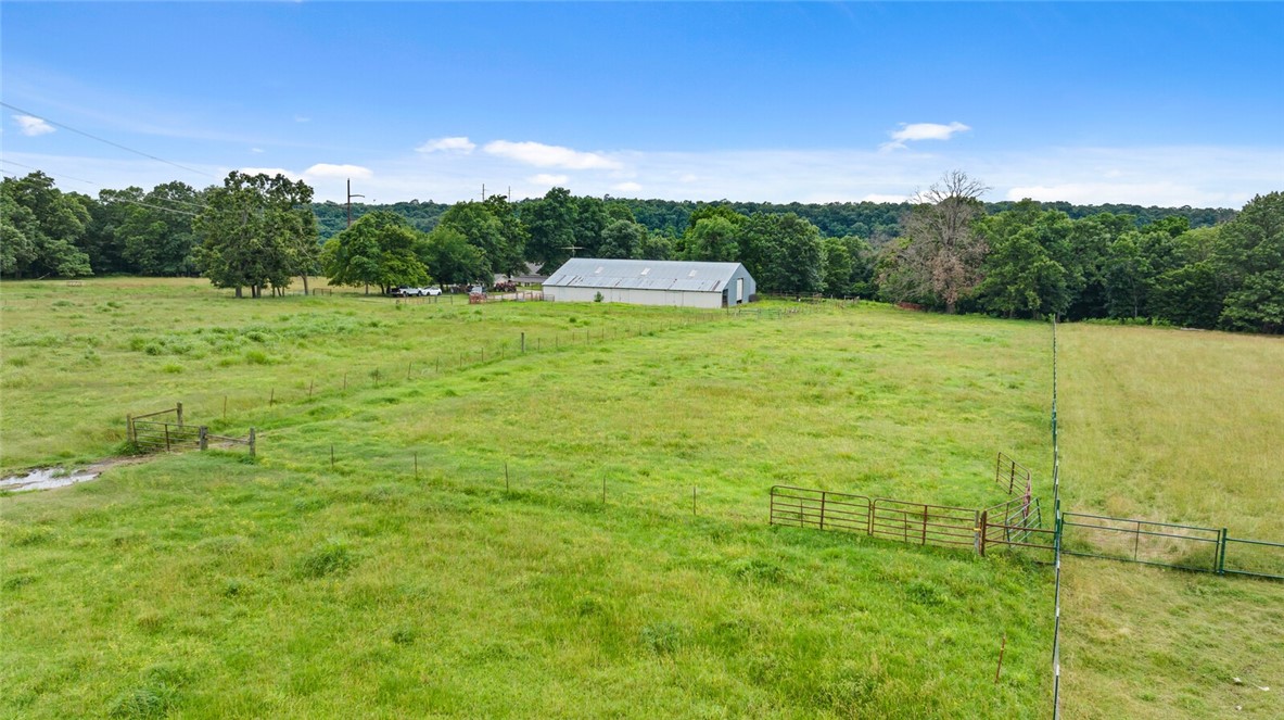 cows, country, dreams, living - Land