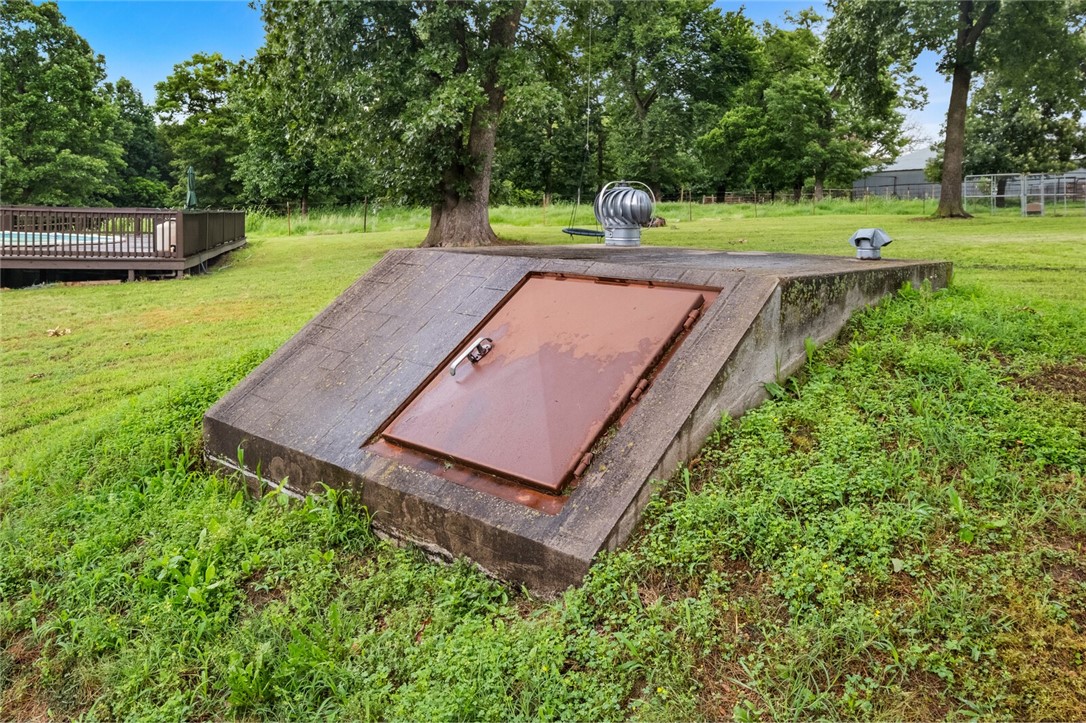cows, country, dreams, living - Land
