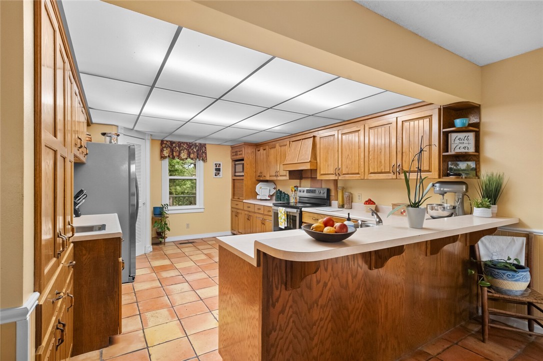 cows, country, dreams, living - Land