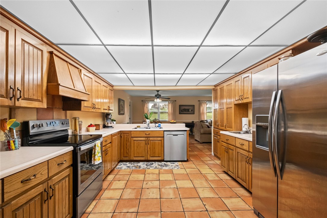 cows, country, dreams, living - Land