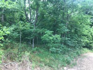 Great building site close to the Buffalo National River Park with 6.71 acres m/l, large trees, and excellent hunting!!