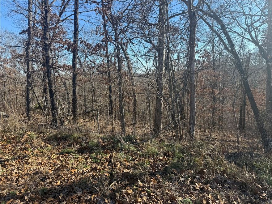 Rare opportunity in Bella Vista! This expansive 1.15-acre lot is tucked away on a quiet cul-de-sac and surrounded by natural beauty. The wooded property backs directly to BVPOA land, offering added privacy and a peaceful setting.
