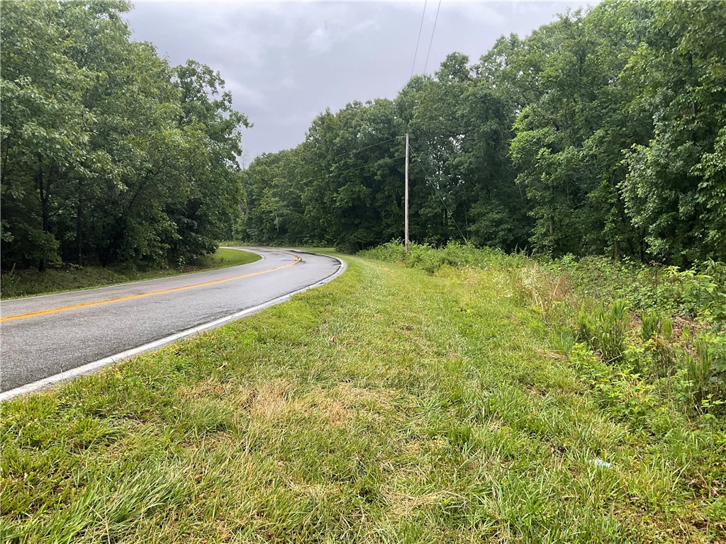 Amazing level lot near Highlands Golf Course and Branchwood Recreational Center (4 minutes) Easy level assess for driveway. Easy clear and easy build. Homes in the area but still feels quite and peaceful.
