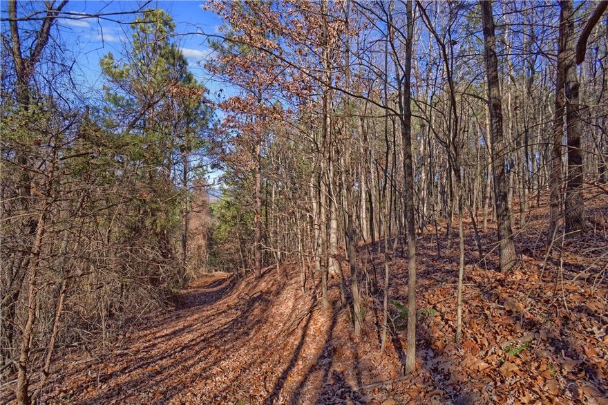 This land is a must see! If you've been looking for a place to hunt or to just get outside, look no more. 40.00 acres located less than 15 minutes east of downtown Dover, Arkansas. Just a short drive to the Ozark National Forest to enjoy hunting, hiking, hibernating & more. This land offers plenty of hardwoods, with privacy in mind. All situated not far from Arkansas Tech and I-40. This land is priced to sell, so don't let it pass you up. Set up a showing today!