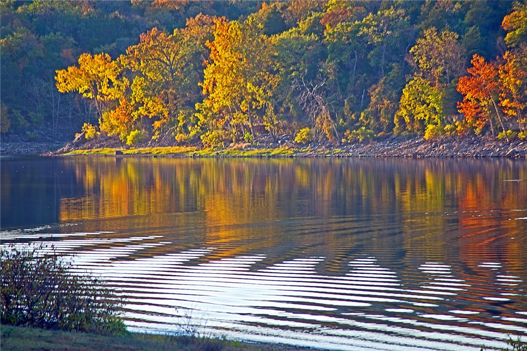 Unit 6 Holiday Island - Land