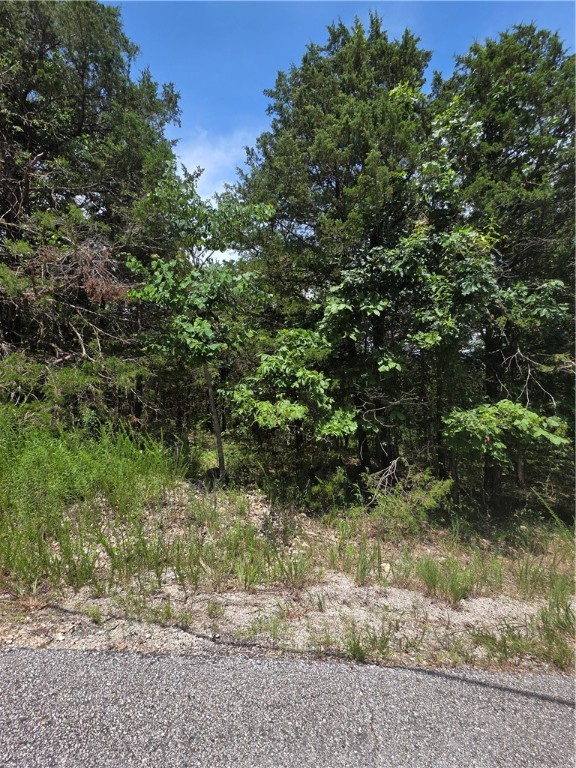 Just 4 miles from historic Eureka Springs, this gently sloping, nearly ½-acre lot in Unit 6 of Holiday Island is perfect for a vacation home, weekend retreat, or potential for Airbnb option. With water, sewer, and electric at the street, it's easy to build and offers privacy with wide road frontage. Minimum 900 sq ft heated space, 1300 under roof so you could add a a front or back covered porch, an attached carport or garage and or a breezeway or entry canopy to make up the 400 or more to sq foot difference to meet the requirements and add curb appeal to your getaway. Enjoy lake life, bike and hiking trails, vibrant fall colors, and access to two golf courses, a full-service marina, pools, tennis, and more. Ideal for seasonal living with quick access to Branson (45 min) and Eureka Springs (15 min). Discover the potential of this Ozark gem!