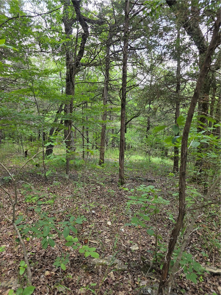 Unit 6 Holiday Island - Land