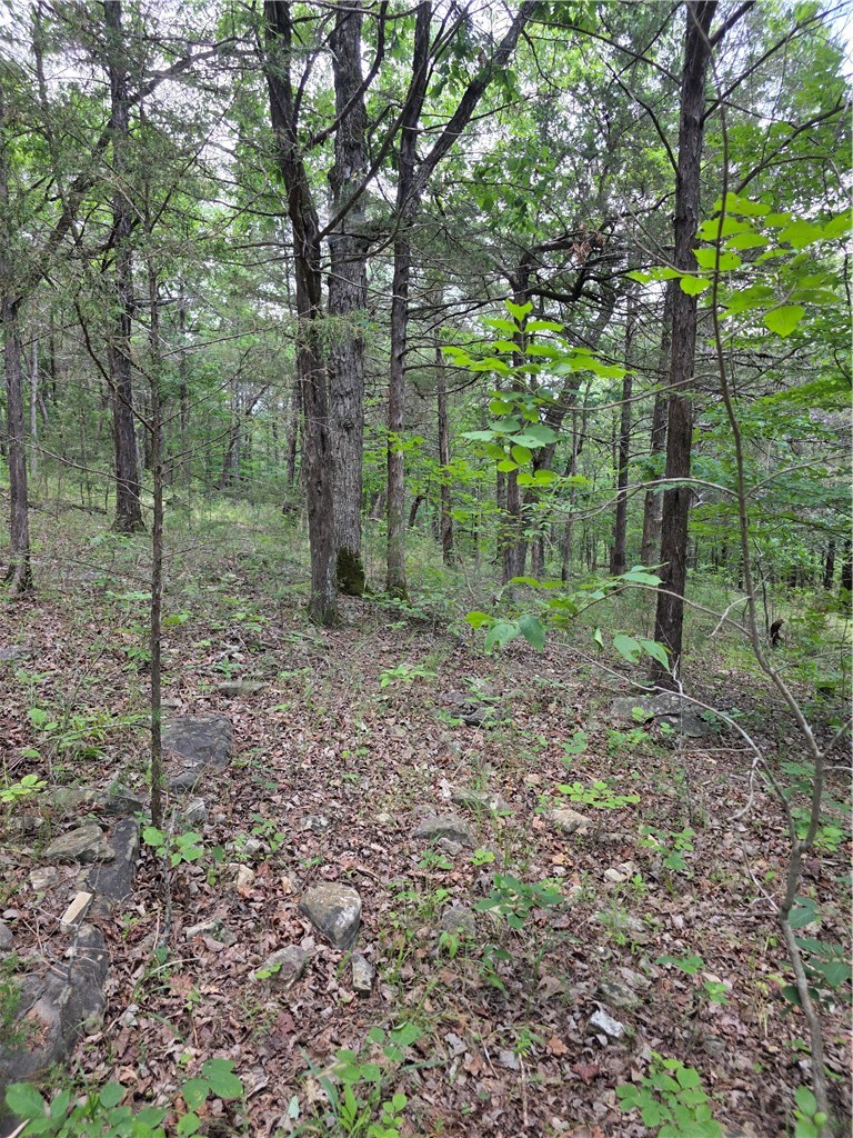 Unit 6 Holiday Island - Land