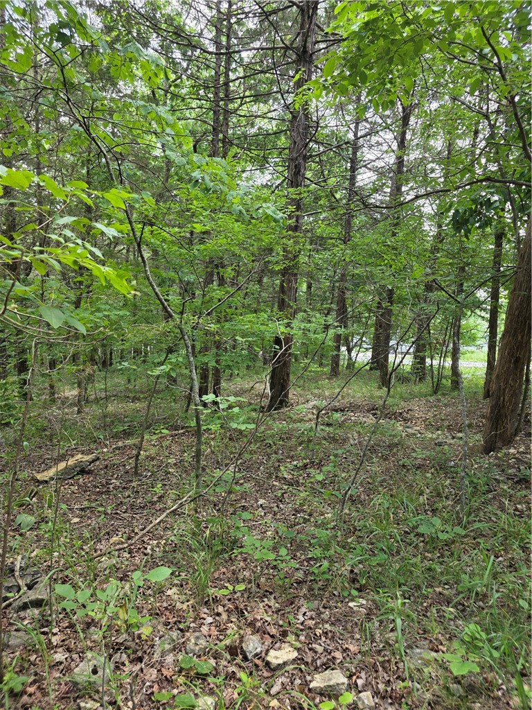 Unit 6 Holiday Island - Land