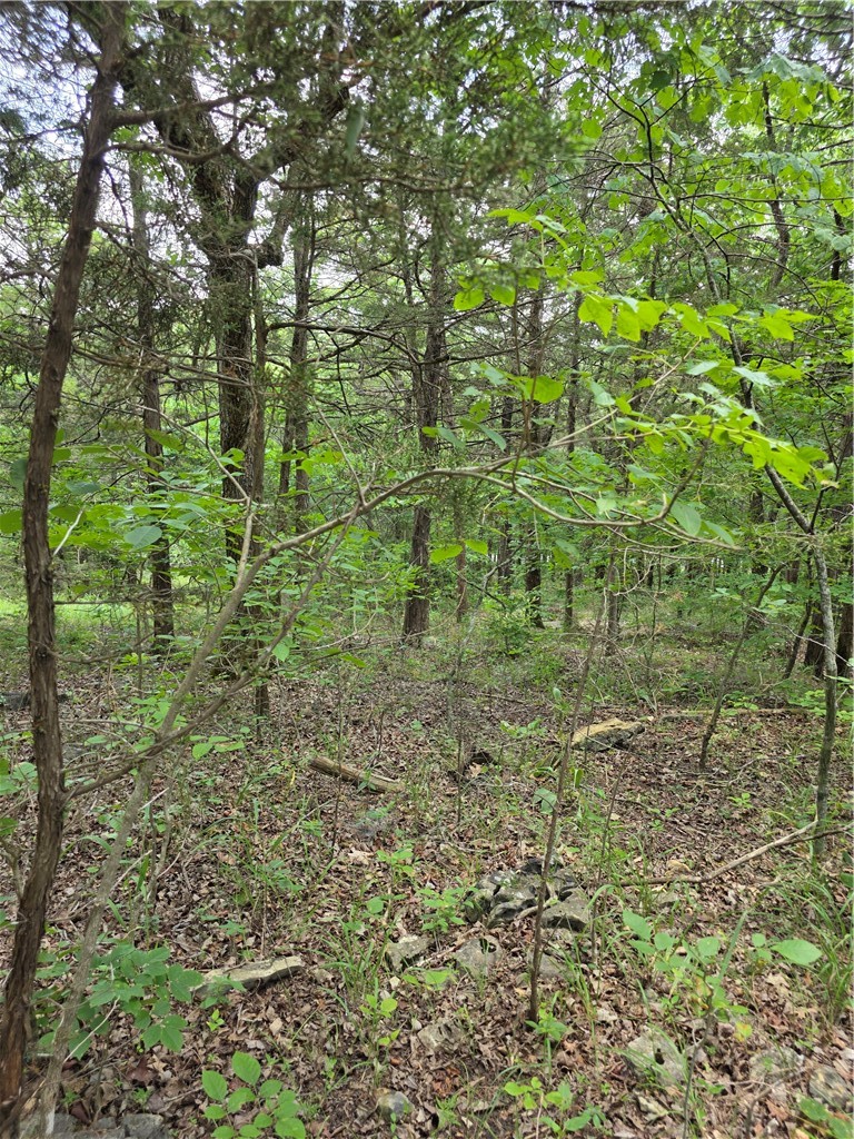 Unit 6 Holiday Island - Land