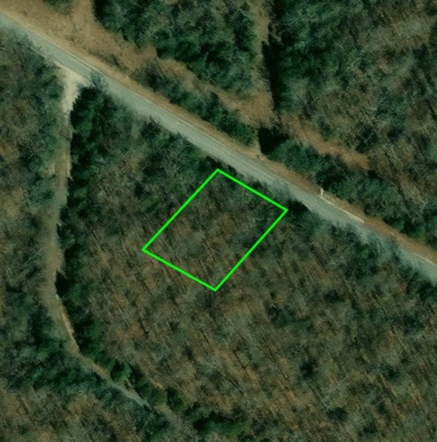 Build a new home on this level .37 (+/-) acre lot. It is only minutes from 3 lakes and local amenities. No owner financing available. Mobile homes are not allowed. Call or text for more information.