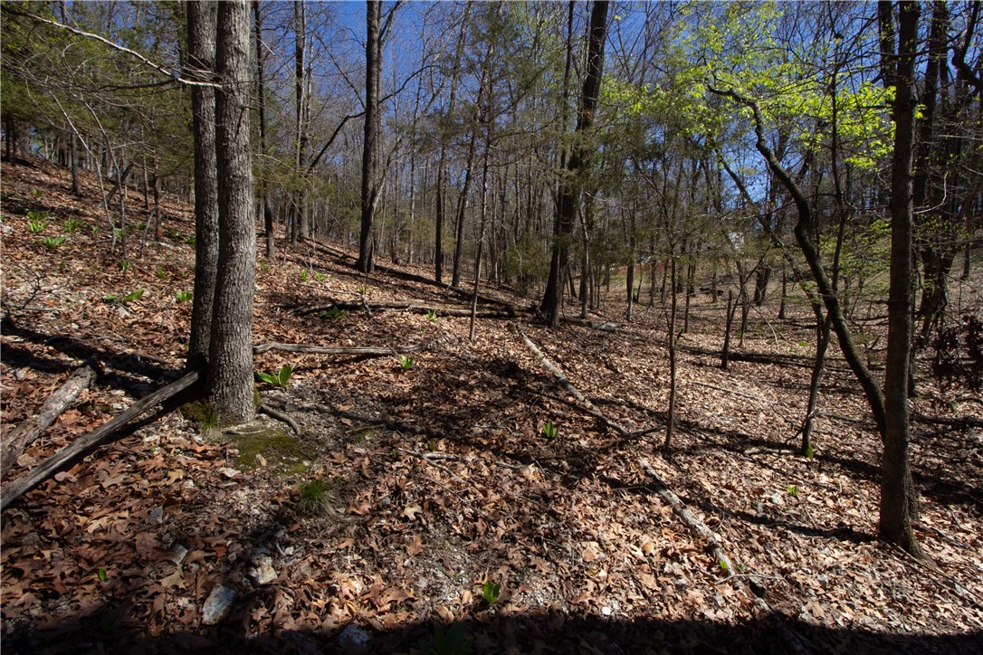 Tanglewood Resort No 2- Rurban - Land