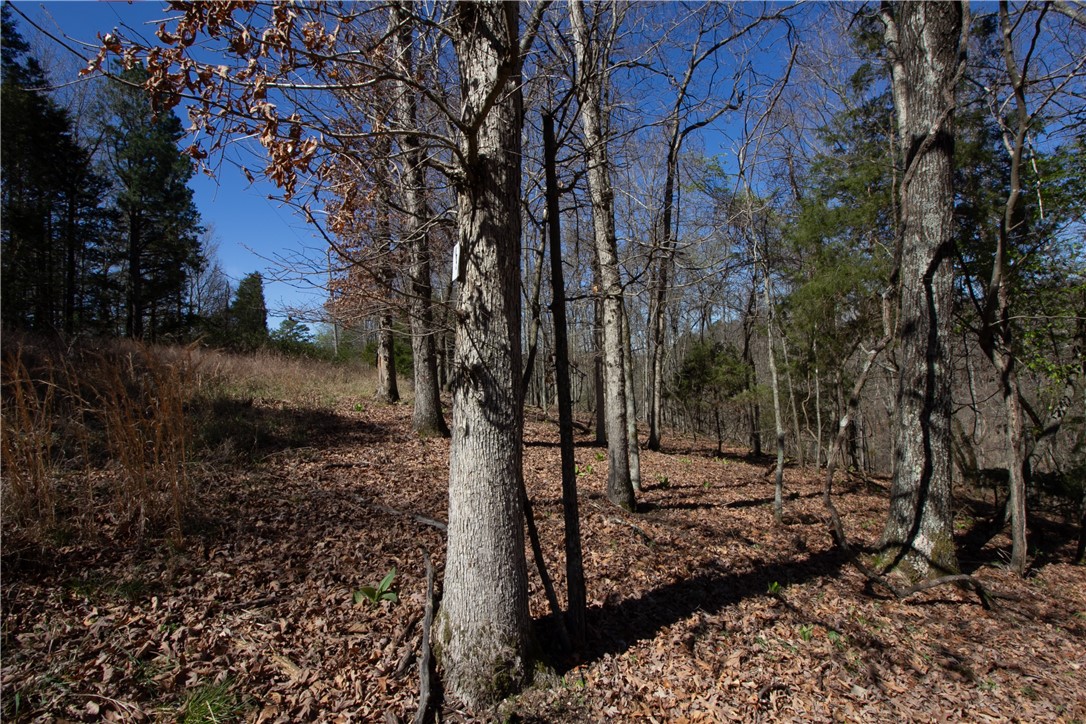 Tanglewood Resort No 2- Rurban - Land
