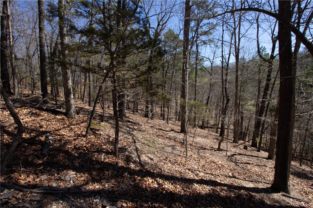 Tanglewood Resort No 2- Rurban - Land