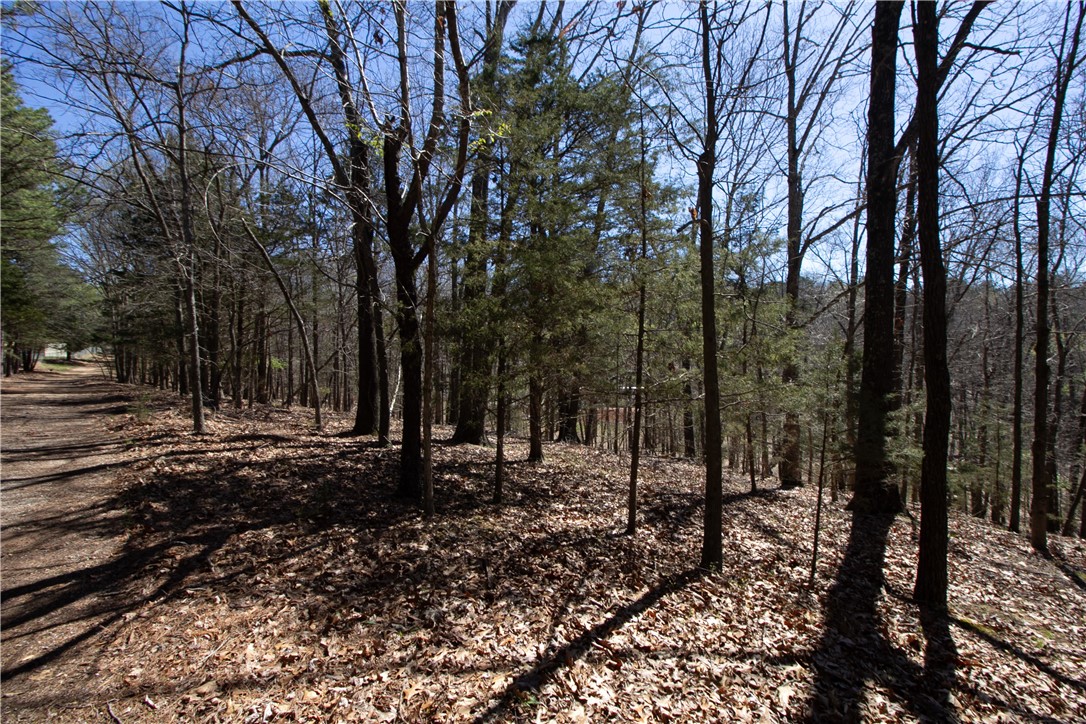 Tanglewood Resort No 2- Rurban - Land