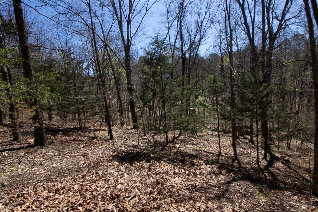 Tanglewood Resort No 2- Rurban - Land