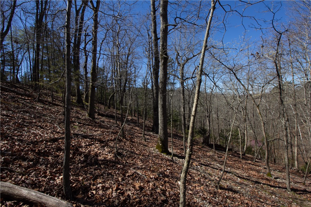 Tanglewood Resort No 2- Rurban - Land