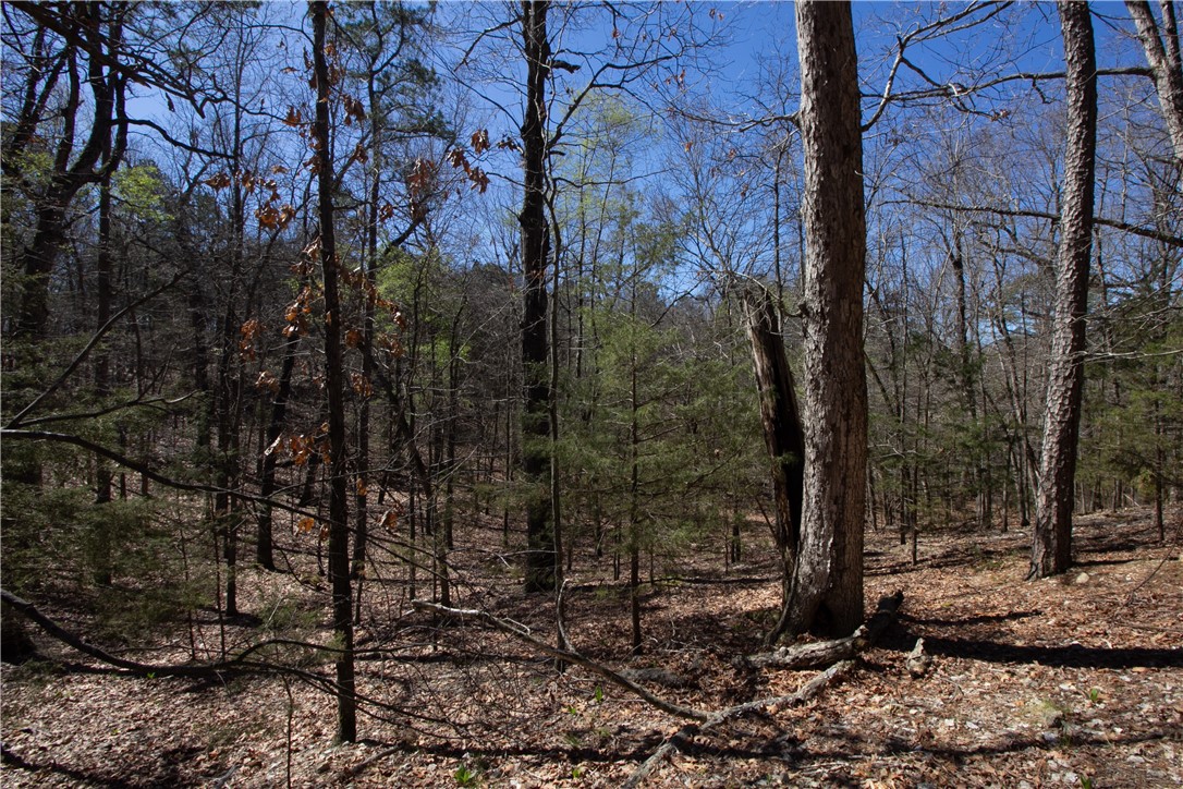 Tanglewood Resort No 2- Rurban - Land