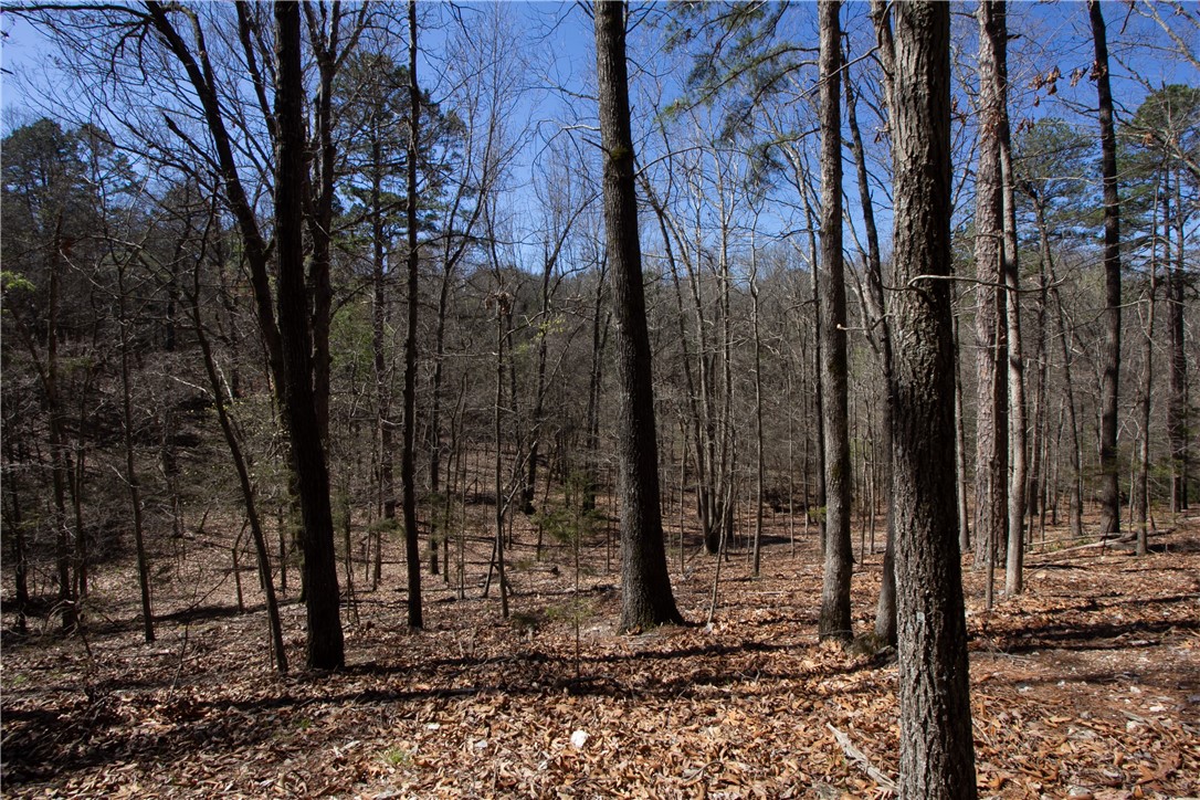 Tanglewood Resort No 2- Rurban - Land