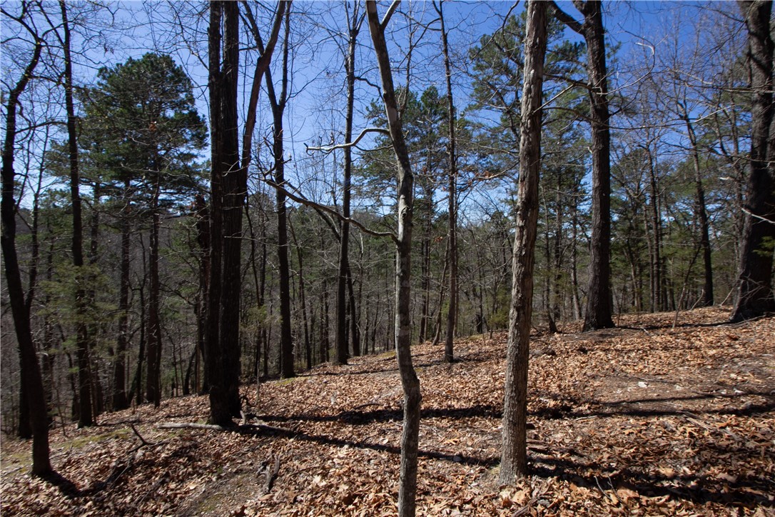 Tanglewood Resort No 2- Rurban - Land